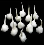 Round cotton wicks for Puja Aarti || phool Batti || pic.500 Cotton Wick [AA1100/6] - Image 3