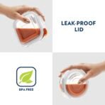 Borosil Klip n Store Universal Lunchbox | 320ml x 2 Square + 240ml x 2 Round Container Set | Made in India Borosilicate Glass | Microwave & Dishwasher Safe | Tiffin for Office/School/College(AA1103/190) - Image 4