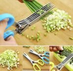 New 5 Blades Scissors Stainless Steel Peelers Chopping Shear for Cutting for Kitchen, Paper Food Salad Herb Spices Cooking Tools Vegetable Cutter (Multicolor, Pack of 1)(AA1103/62) - Image 3