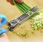 New 5 Blades Scissors Stainless Steel Peelers Chopping Shear for Cutting for Kitchen, Paper Food Salad Herb Spices Cooking Tools Vegetable Cutter (Multicolor, Pack of 1)(AA1103/62)