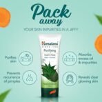 Himalaya Herbals Purifying Neem Pack, 100g Packaging might differ - Image 3