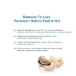 Pureheart Nutmix Fruit & Nuts (454 gm) Natural Premium Mix Nuts (Cashews, Almonds, Raisins, Cranberries) Delicious &  Fruits  (A1104/20) - Image 3