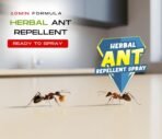 Amish Herbal Ant Spray 250ml Pack-1|10 Minutes Formula |Removes Entire Ant colony|Powerful 100% Organic No Chemical Ant Repellent Spray for Home Kitchen Office Garden Long Lasting Protection(AA1103/46) - Image 5
