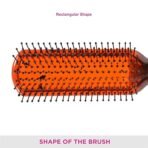 Vega Flat Hair Brush (India's No. 1* Hair Brush Brand) For Men & Women (R8-FB) (AA1104/50) - Image 2