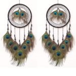 Colour	Black Brand	THE URBAN CRAFTIQUE Occasion	Home Decoration Material	Thread, Beeds, Wooden ring & Peacock Feather Theme	Traditional Cartoon Character	Traditional Dream Catcher Style	Traditional Product Dimensions	2D x 25W x 35H Centimeters Target Audience	Adult Included Components	Dream Catcher