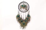 Colour	Black Brand	THE URBAN CRAFTIQUE Occasion	Home Decoration Material	Thread, Beeds, Wooden ring & Peacock Feather Theme	Traditional Cartoon Character	Traditional Dream Catcher Style	Traditional Product Dimensions	2D x 25W x 35H Centimeters Target Audience	Adult Included Components	Dream Catcher - Image 2