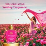 Softouch Yardley Windsor Rose 2000 ml Fabric Conditioner | Long lasting fragrance for clothes(AA1103/126) - Image 4