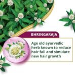 Himalaya Anti-Hair Fall Bhringaraja Shampoo, Reduces Hair Fall, Makes Hair Healthy, With Bhringaraja & Palasha,For Men And Women, 80Ml, 100 Grams - Image 4