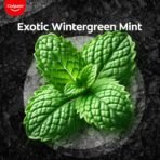 Colgate Charcoal Clean Deep Clean Oral Care Toothpaste, Bamboo Charcoal and Mint (Black Gel) 240g Saver Pack [AA1102/160] - Image 3