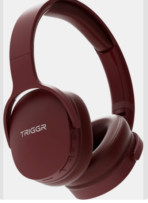 Trinity 2 with Dual Pairing, ENC, Fast Charge, 50H Battery, Rubber Finish, v5.3 Bluetooth Headset (Bordeaux Maroon, On the Ear) [AA1096/116]