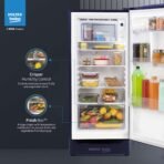 183L Direct Cool Single Door 4 star refrigerator with Base Drawer[AA1097/55] - Image 3
