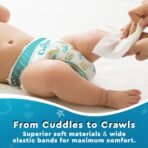 Cuddles - Super Pants Combo Pack - Medium (74*2) - M (148 Pieces) - Image 3