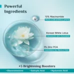 Pilgrim 10% Niacinamide Face Serum for Men and Women|Reduce Acne Mark|Bright Skin (10 ml) [AA1102/221] - Image 3