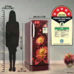 185 L Direct Cool Single Door 5 Star Refrigerator With Base Drawer With Smart Inverter Compressor , Auto Smart Connect  and Fast Ice Making ( Scarlet Florance , GL _ D201ASFU)(AA1103/121) - Image 2