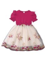 TAGAS Girls' Princess Dress | Girl Dress |Dresses birthdaydress for Babygirls | [AA1096/193]
