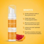 Dot & Key Visit store Vitamin C Super Bright Foaming  for Glowing Skin, Sulphate Free Face Wash (80 ml)[AA1098] - Image 4