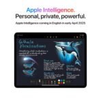 Apple iPad Air 13″ with M3 chip: Built for Apple Intelligence, Liquid Retina Display, 128GB, 12MP Front/Back Camera, Wi-Fi 6E, Touch ID, All-Day Battery Life — Space Gray[AA1098] - Image 4
