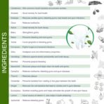 SENSORA Gum Care Toothpaste For Complete Oral Care | Prevents From Dry Mouth, Gum Diseases| India's First Toothpaste With Carrymax Technology| Made In India| Mint Flavour Pack Of 3[AA1098] - Image 4