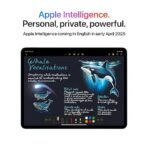 Apple iPad Air 11″ with M3 chip: Built for Apple Intelligence, Liquid Retina Display, 128GB, 12MP Front/Back Camera, Wi-Fi 6E, Touch ID, All-Day Battery Life — Space Gray [AA1102/330] - Image 2