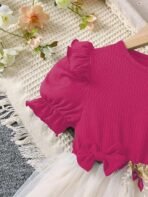 TAGAS Girls' Princess Dress | Girl Dress |Dresses birthdaydress for Babygirls | [AA1096/193] - Image 3