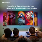 MOTOROLA 80 cm (32 inch) QLED HD Ready Smart Google TV 2025 Edition with 5.0 OS, 40 W speaker, and Dolby Audio (32HDGQMVSAQ)[AA1098] - Image 3